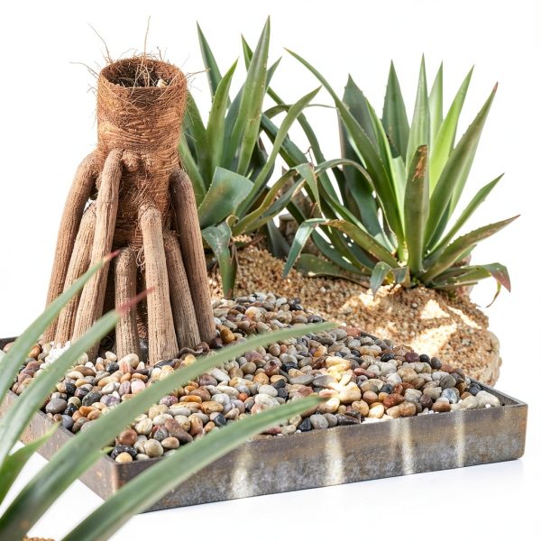 GASPRO Polished Pebbles Landscaping Rocks Plant Decor-2