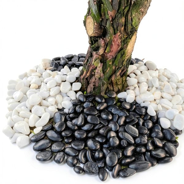 FANTIAN Black River Rocks Landscaping Pebbles Natural-5