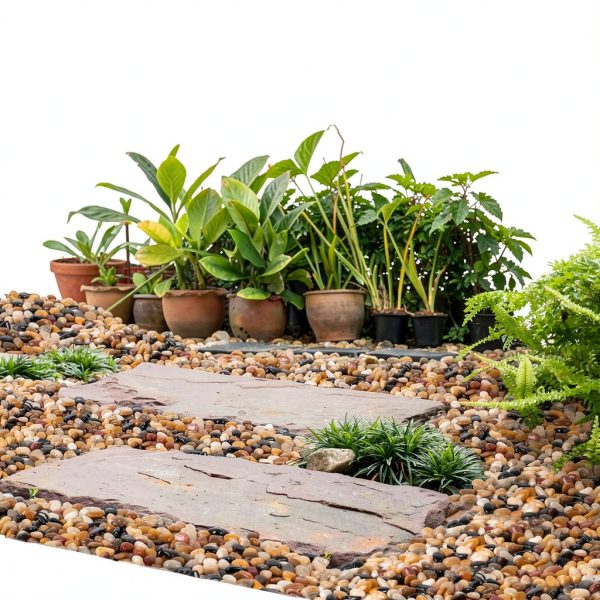 GASPRO Polished Pebbles Landscaping Rocks Plant Decor-5
