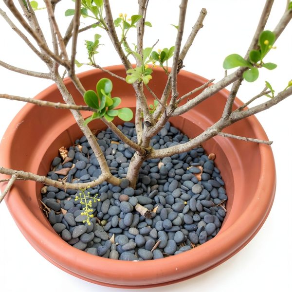 CJGQ Natural River Rocks Grey Landscaping Pebbles Smooth-6