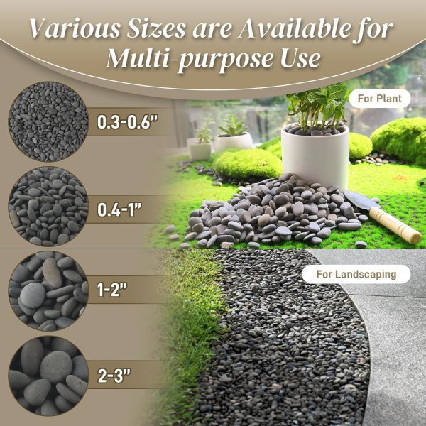 Quibbay Mexican Beach Pebbles Natural River Rocks-5