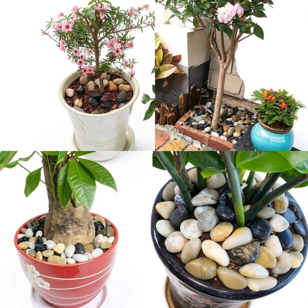 QPEY Bonsai Pebbles Natural Stones Garden Decoration Rocks-2