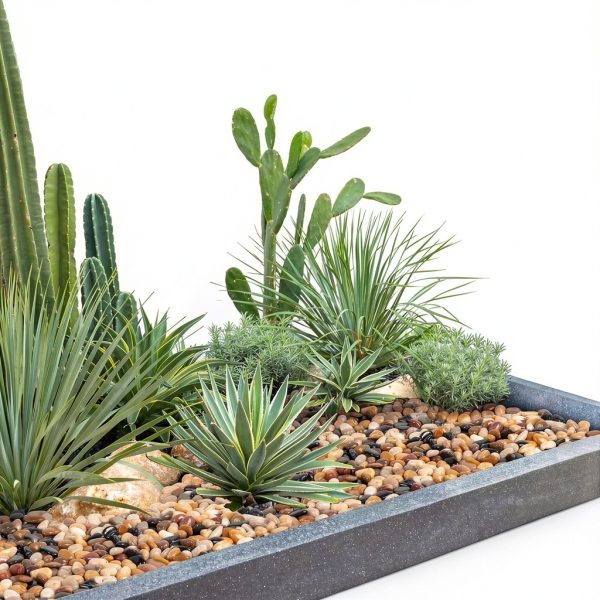 GASPRO Polished Pebbles Landscaping Rocks Plant Decor-6