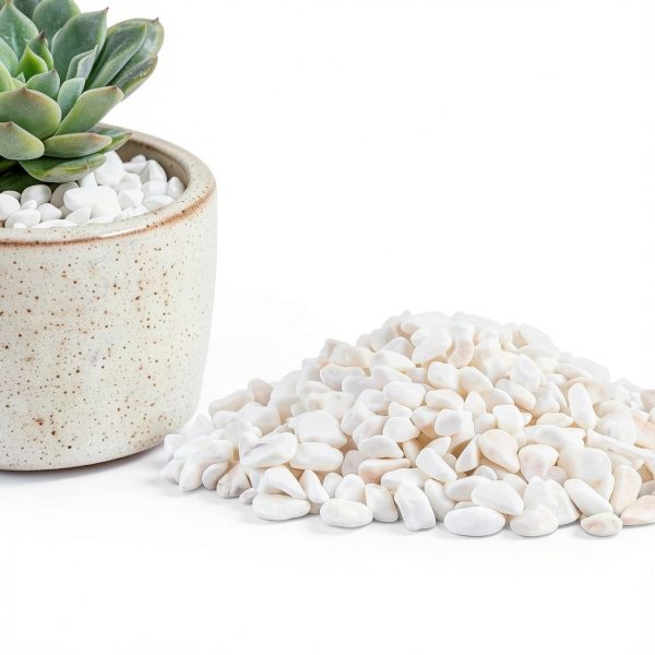 Sukh White Pebbles Natural Decorative Stones Indoor Plants-2