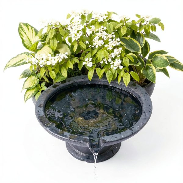 Pulovin Natural River Stones Aquarium Garden Decoration-6
