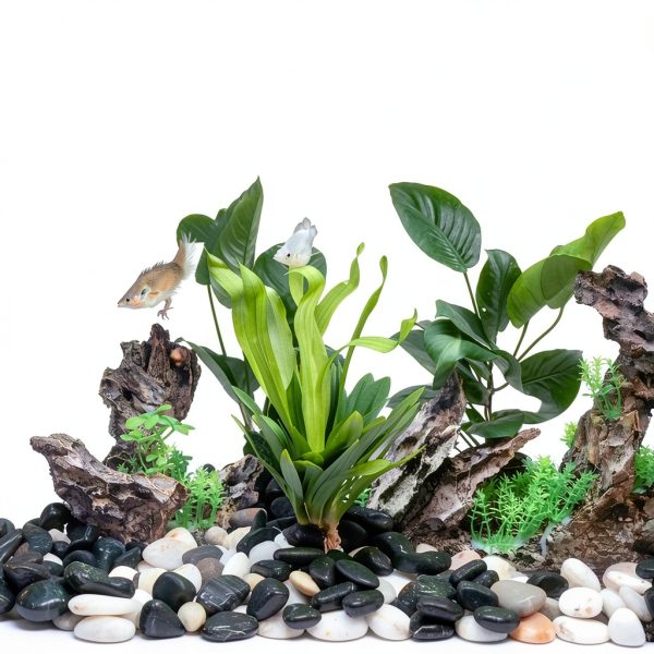 FANTIAN Black River Rocks Landscaping Pebbles Natural-3